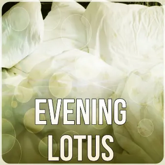 Evening Lotus - Night Sounds and Piano for Reiki Healing, Sea Sounds, Music for Peace & Tranquility Massage by Night Lovers Club