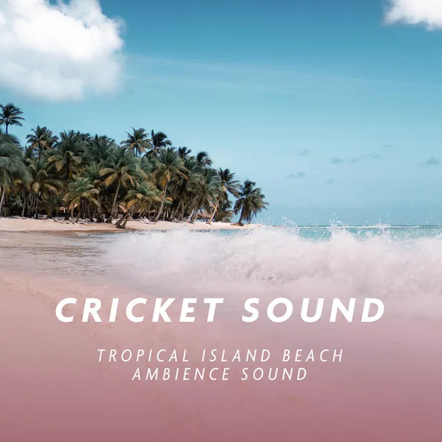 Crickets and Ocean Sound for Sleep