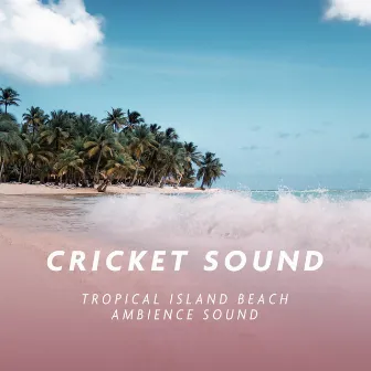 Tropical Island Beach Ambience Sound by Cricket Sound