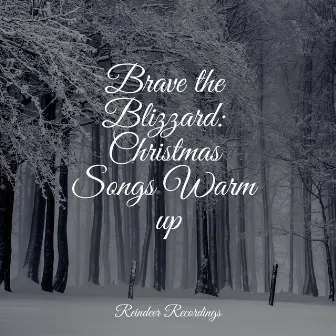 Brave the Blizzard: Christmas Songs Warm up by Hymn Singers