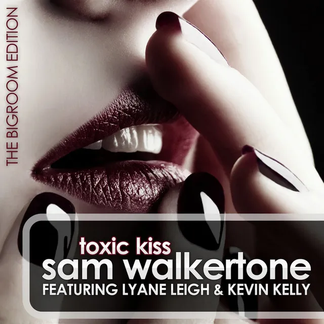 Toxic Kiss (Bigroom Edition)