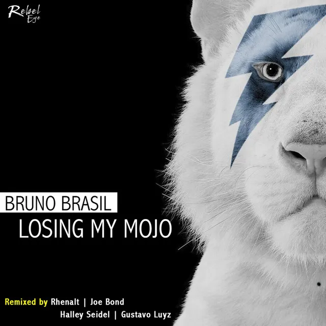 Losing My Mojo - Gustavo Luyz Remix