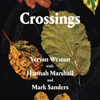 Crossings by Mark Sanders