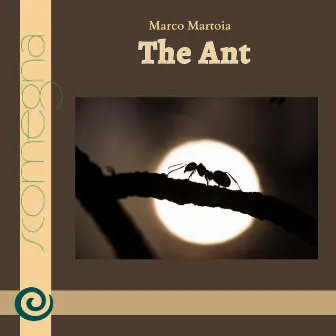 THE ANT by Marco Martoia