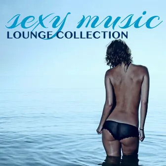 Sexy Music Lounge Collection - Erotic Shades of Lounge & Chillout Music, Sexy Moments, Sexy Touch, Funny Sex by Unknown Artist