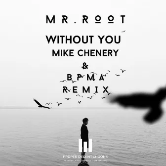 Without You (Remixes) by Mr. Root