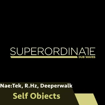 Self Objects by R.Hz