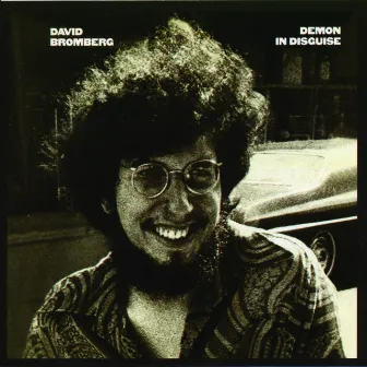 Demon In Disguise by David Bromberg