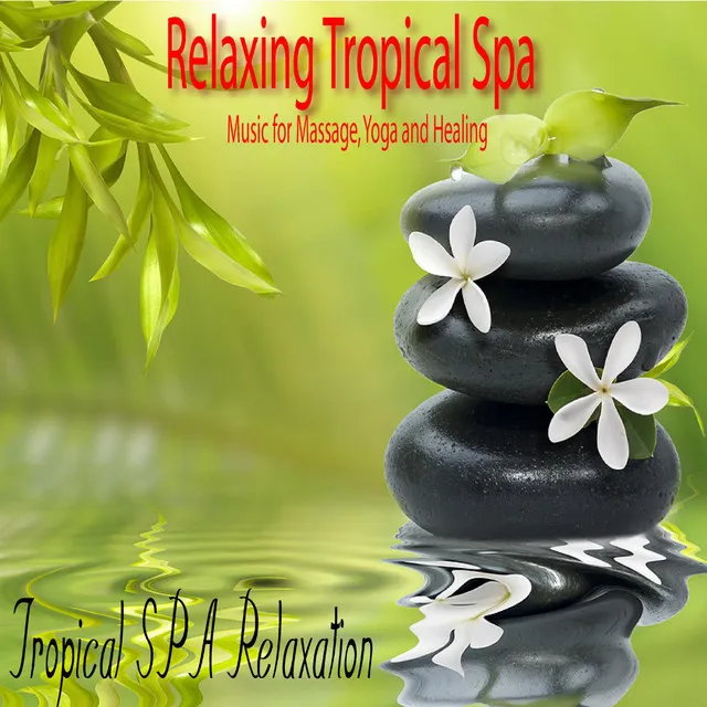 Tropical Paradise Relaxation and Meditation