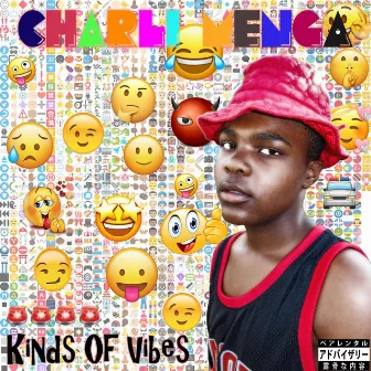 Kinds of Vibes by Charli Menga