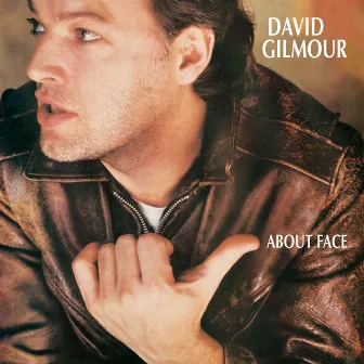 About Face by David Gilmour