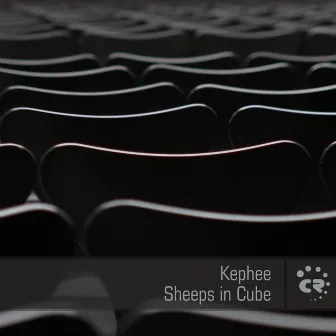 Sheeps in Cube by Kephee