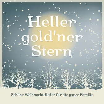 Heller gold'ner Stern (Schöne Weihnachtslieder für die ganze Familie) by Johannes Vogt