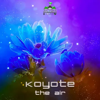 The Air by Koyote