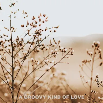 A Groovy Kind of Love by Kjell Åge Hartveit Karlsen