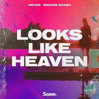 Looks Like Heaven by Devan