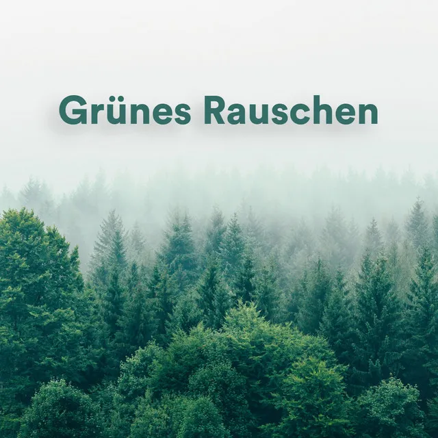 Sauberes Grünes Rauschen