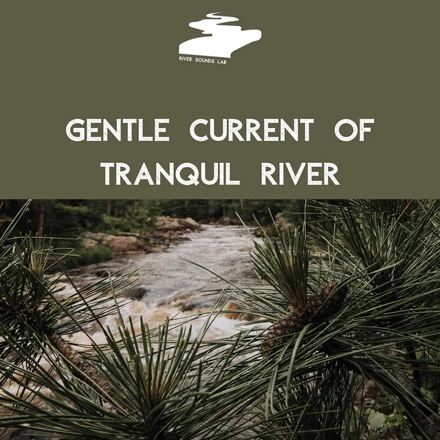 Gentle Current of Tranquil River