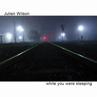 While You Were Sleeping by Julien Wilson