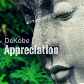 Appreciation by DeKobe