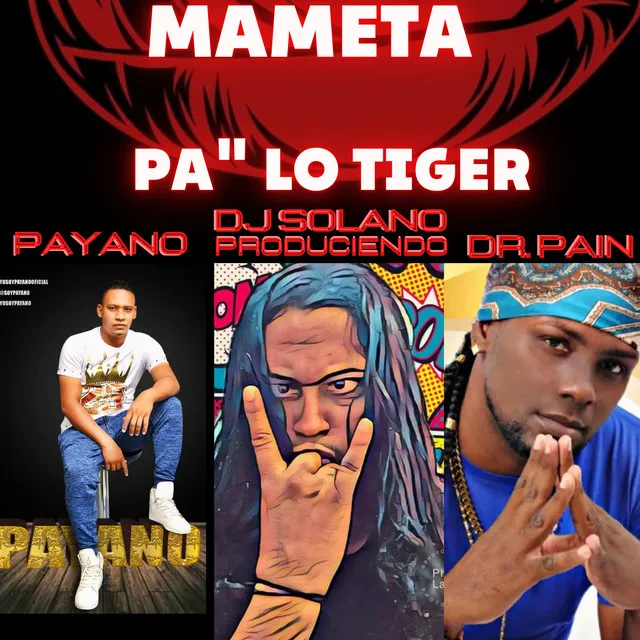 Mameta Pa Lo Tiger