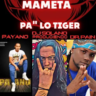 Mameta Pa Lo Tiger by Dj Solano Produciendo