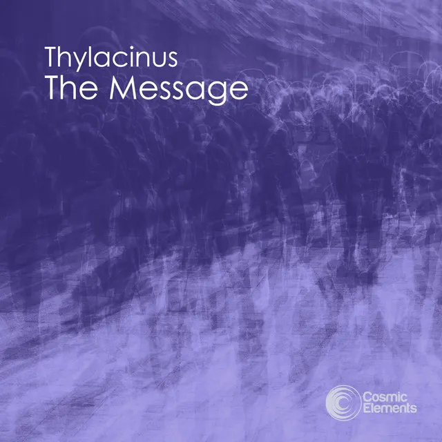 The Message - Original Mix