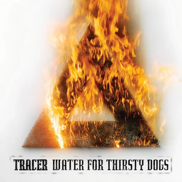 Water for Thirsty Dogs