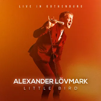 Little Bird – Live in Gothenburg by Alexander Lövmark