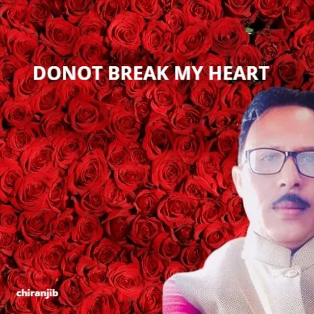 Donot Break My Heart