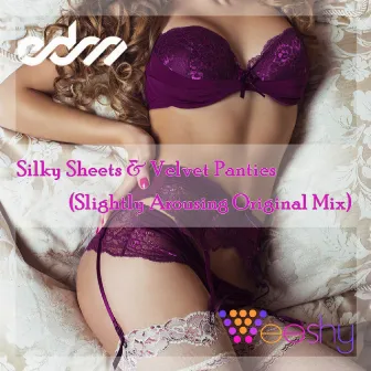 Silky Sheets and Velvet Panties by Veeshy