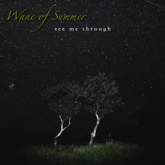 See Me Through by Wane of Summer