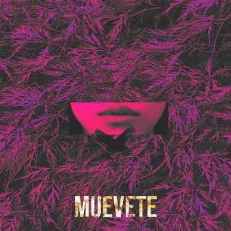 MUEVETE by Cozmos