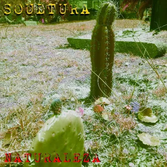 Naturaleza by Soultura