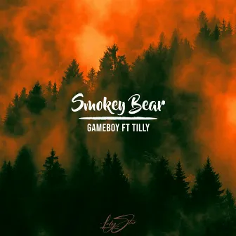 Smokey Bear by Unknown Artist