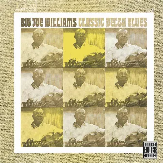 Classic Delta Blues by Big Joe Williams