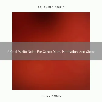 A Cool White Noise For Carpe Diem, Meditation, And Sleep by White Noise Pleasant Sounds