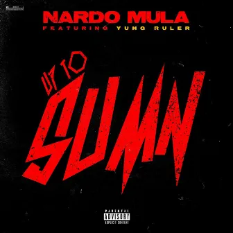 Up to Sumn by Nardo Mula