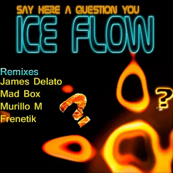 Say Here a Question You by Ice Flow