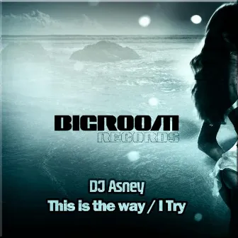 This is the way by Dj Asney