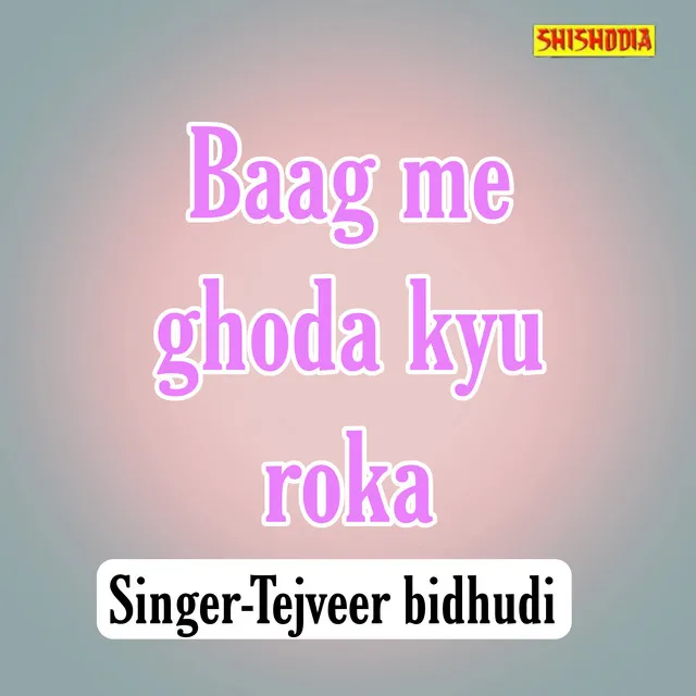 Baag Me Ghoda Kyu Roka