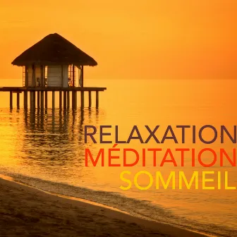 Relaxation Méditation Sommeil – Musique et New Noise pour Méditation Pleine Conscience, Relaxation Yoga et Sommeil Paisible by New Noise