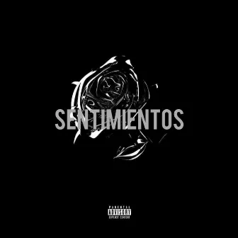 Sentimientos by ANDREW MUSIC