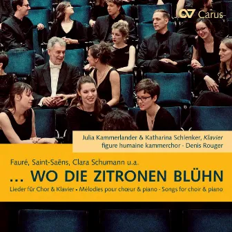 Wo die Zitronen blühn: Lieder bearbeitet für Chor und Klavier by Denis Rouger