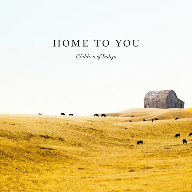 Home to You