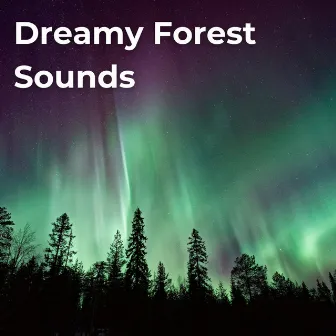 Dreamy Forest Sounds by Drifting Streams