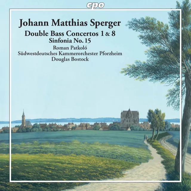 Double Bass Concerto No. 1 in D Major: III. Allegro