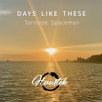 Days Like These by Tarnoise Spaceman