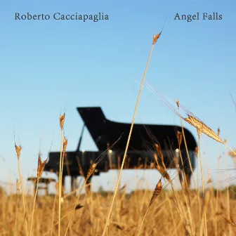 Angel Falls by I Virtuosi Italiani