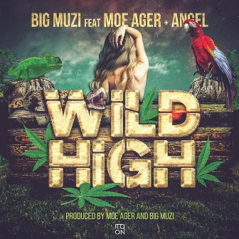 Wild High by BIG MUZI